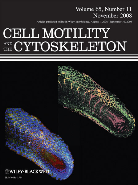 Capa da revista Cell Motility and the Cytoskeleton, mostrando regies de adeso no peixe-zebra, por Manoel Costa