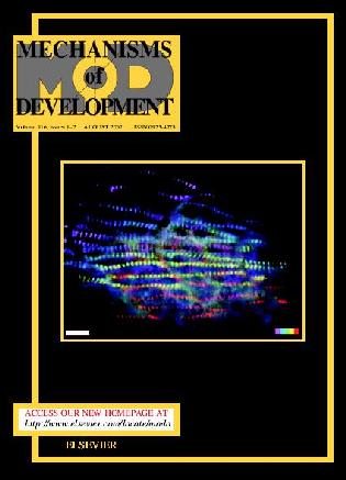Mechanisms of Development cover, showing myofibrils, by Manoel Costa