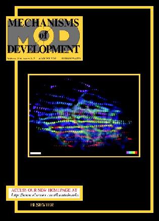 Mechanisms of Development cover, showing myofibrils in zebrafish embryos, by Manoel Costa